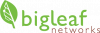 BigLeaf